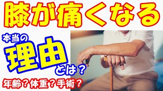 vol.465 年齢？体重？手術？あなたの膝が痛くなる本当の理由とは？痛くなる理由が解決すれば膝の痛みは治る！