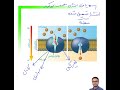 فیلم تدریس انتشار تسهیل شده زیست دهم مهدی محمد حسین زاده