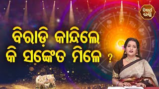 Biradi Kandile Ki Sanket Mile - ବିରାଡ଼ି କାନ୍ଦିଲେ କି ସଙ୍କେତ ମିଳେ - Bhagya Darshana | Pragyan Tripathy