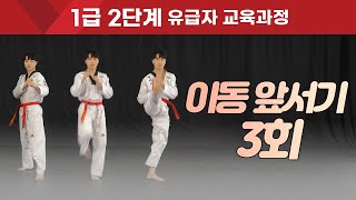 [1급 2단계] 이동 앞서기 3회 배우기! Shift Ap seogi (Forward stance) 3 times