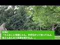 【スカッとひろゆき】トメ｢嫁子さんがしっかりしないとお腹の子は女になっちゃうのよ｡どうするの！男の子にならなかったら！｣