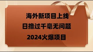 2024灰产项目 来看看你对赚钱抱有多大的认知 日撸过千豪无问题  日入千元的灰色项目教程