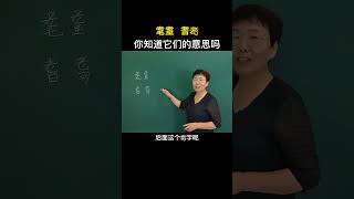 “耄耋  耆耈”它們都帶着老字頭，你知道這兩個詞語的意思嗎？#國學 #故事