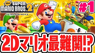 999万9999枚のコインをゲットせよ!!2Dマリオ史上最難関ゲームが始まる!!3DS名作実況Part1【Newスーパーマリオブラザーズ2】