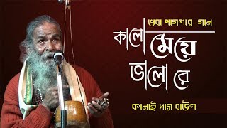 মন আমার কালো মেয়ে, কালো মেয়ে ভালো রে, ভবা পাগলার গান | কানাই  বাউল | Kanai Das Baul | Shyama Sangeet