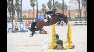 Comthago (Comme Il Faut x Carthago Z) winning the 1.40m class in Opglabeek with Marlon Zanotelli