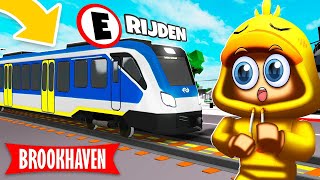 Nieuw TREINEN UPDATE In Brookhaven! (Roblox)