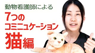 猫とのコミニュケーションについて【動物看護師シリーズ】