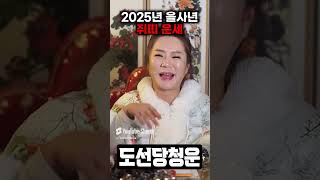 2025년 을사년 대박나는 쥐띠운세 / 쥐띠에게는 큰 비밀이 있습니다!