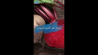 تعرف على أضرار الشمندر