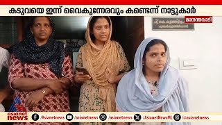 'ശബ്‌ദം കേട്ട് നോക്കിയപ്പോൾ കടുവയെ കണ്ടു'; കടുവയെ കണ്ടവർ പറയുന്നു