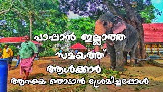 Vembanadu Arjunan| പാപ്പാൻ ഇല്ലാത്ത സമയത്ത് ആനയെ തൊടാൻ ശ്രമിച്ചപ്പോൾ.. സിബി ചേട്ടൻ ശഖാരിക്കുന്നു