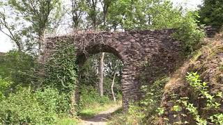 Manderscheider Burgen in der Eifel