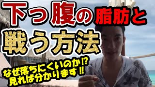 【DaiGo 】※お腹周りの脂肪が落ちない理由、これです。理由が分かればすっきりお腹も目指せます！【DaiGo 切り抜き】