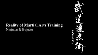 The Reality of Training in the Ninja Martial Arts | Ninjutsu, Ninpo, Bujutsu, Budo