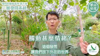 《華山秘笈》～「發問的藝術」系列 ｛MCT正念教練學主題系列 #99｝第八集：三層發問系統