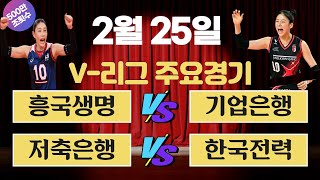 토토분석 스포츠분석 프로토분석 2월 25일 국내 V리그배구 주요경기분석