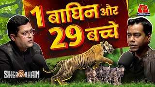 India की Super Mom Tigress की interesting story: Sherkhan Ep 23 | Pench Tiger Reserve | Collarwali