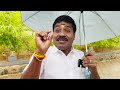 பிக்பாஸ் முடிஞ்சதும் குடும்பத்துடன் கொண்டாட்டம் aara jungle resort