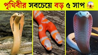 পৃথিবীতে বসবাসকারী সবচেয়ে বড় ৫ টি সাপ। Biggest 5 snakes in the world | @tothyaban