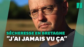 « J’ai jamais vu ça », comment cet éleveur Breton tente de faire face à la sécheresse