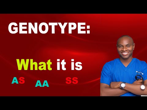 What does F stand for in genotypes?