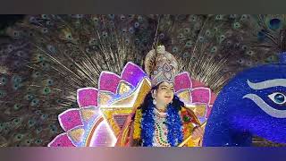 Palluruthy Veli Kavadi 2024 February 22nd and Naadanpaattu by Beeshma Cochin