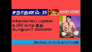 Short Story 39 | சக்கரவாகப் பறவை உயிர் வாழ இது போதுமா? #sanathanam #108divyadesam @vengadamtv