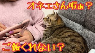 暇すぎる飼い主に添い寝する猫がかわいい！