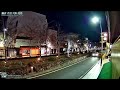 🌃【アーカイブ専用配信】鎌倉 小町 若宮大路 「段葛」ライブカメラ　kamakura dankazura livecam archive 2025 01 16 19 30〜