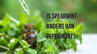 Waarom Spearmint BETER is dan Pepermunt - Dit moet je weten!