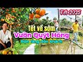 651. Tết 2025 - Vườn quýt hồng Lai Vung Đồng Tháp mở cửa đón khách sớm nhân dịp Xuân Ất Tỵ