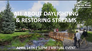 All About Daylighting \u0026 Restoring Streams