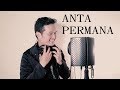 ANTA PERMANA (DATO' SITI NURHALIZA) - ANDREY ARIEF (LIVE COVER)
