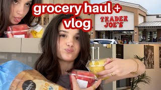 Come to the grocery store with me | Day 29 | The Living Alone Series