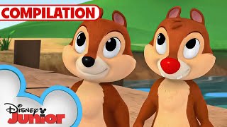 Adventures with Chip 'N Dale 🐿️ | Nutty Tales | Shake Your Tail | 1 Hour Compilation |@disneyjunior