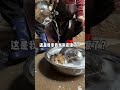 【陈秃秃的一家】猫：你这阵仗不像是要给我洗澡啊？！