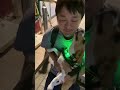 飼主を迎えに来たビーグル犬 beagle いぬ