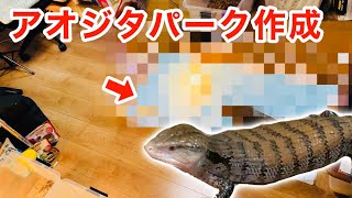 自室に大トカゲの散歩エリアを作成してみた【アオジタ】