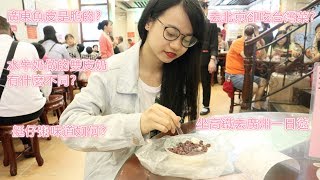 美食vlog】广州一日游＋北京5小时转机游|陈添记鱼皮，南信双皮奶，三里屯杜小月