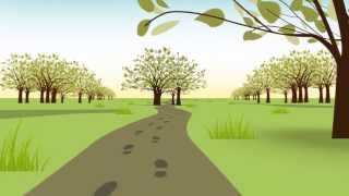 Simplify probate
