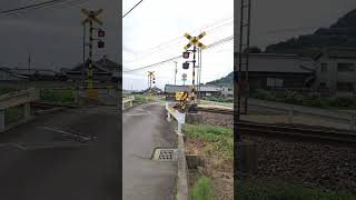 【踏切】西下第１踏切　しおかぜ・いしづち9号　アンパンマン列車（JR四国　予讃線） #電車 #train #japanrailway #jr四国 #鉄道 #anpanman