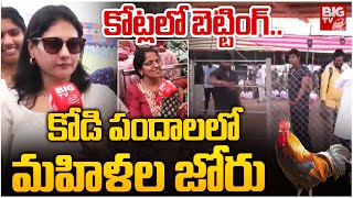 కోట్లలో బెట్టింగ్.. | Cock Fights In Bhimavaram | Eluru Sankranthi Celebrations | BIGTV