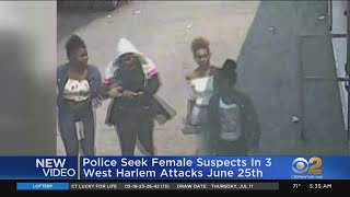 Police Seek Female Suspects In 3 Attacks