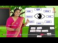 kite victers std 04 english class 14 first bell ഫസ്റ്റ് ബെല്‍