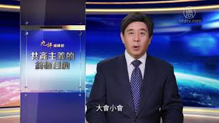 【共产主义的终极目的】（10）邪灵篡位 文化沦丧*