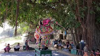 Myanmar Elephant Dance