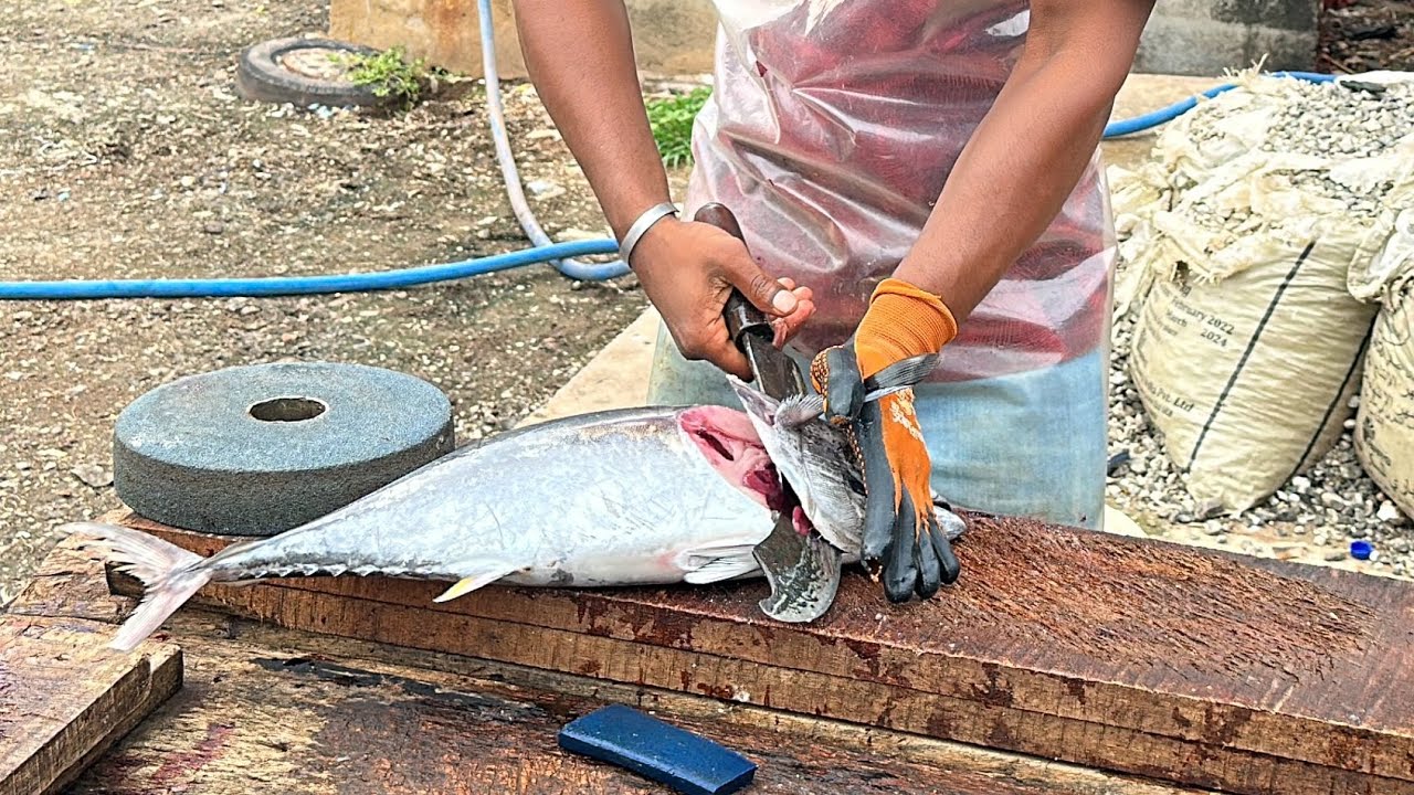 Yellowfin Tuna Cutting Skills By Expert Youtube