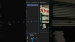 SHAKE EFFECT in Premiere Pro