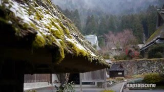 Explore Rural Japan: Scenic Tamba